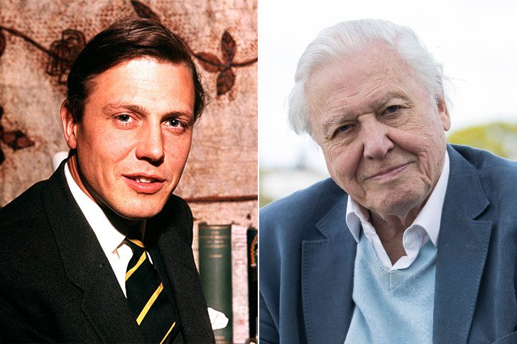 David Attenborough (Born In 1926) – The Life Collection