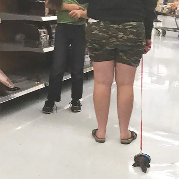 Slow and Steady Shopper